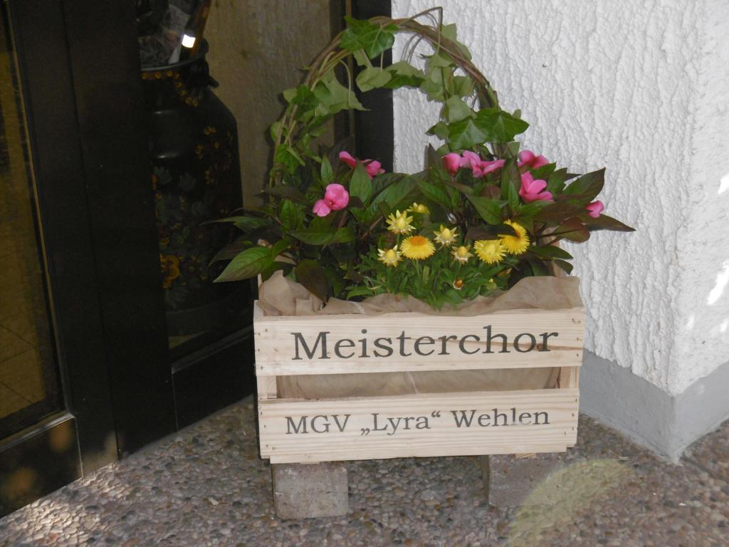 Haus Hochwaldhoehe Morbach Dış mekan fotoğraf